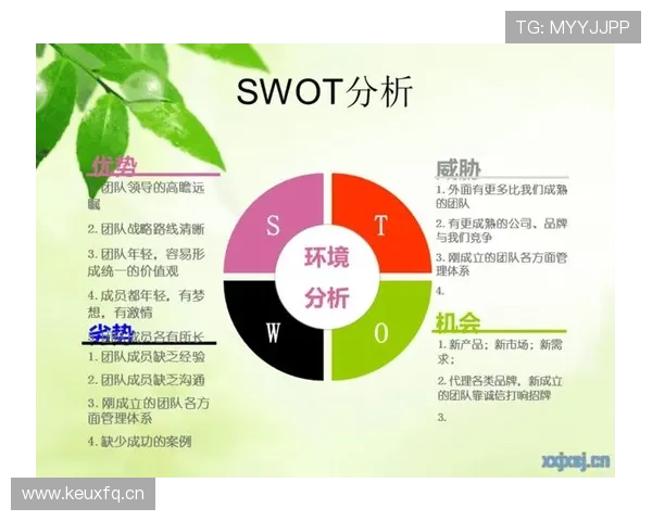 赖斯生涯个人表现与团队成绩关联性分析
